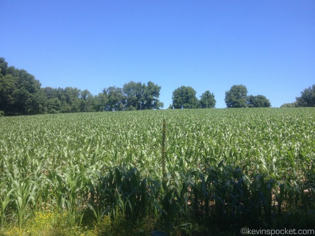 point_mountain_nj_004