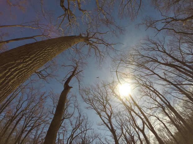 photo © kevinspocket.com