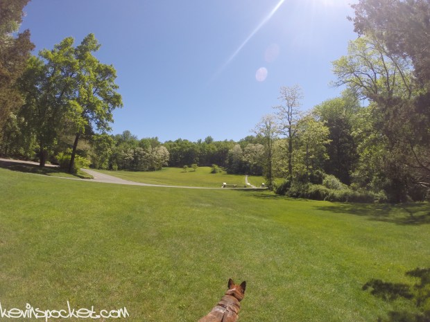 Jockey Hollow NJ Hike