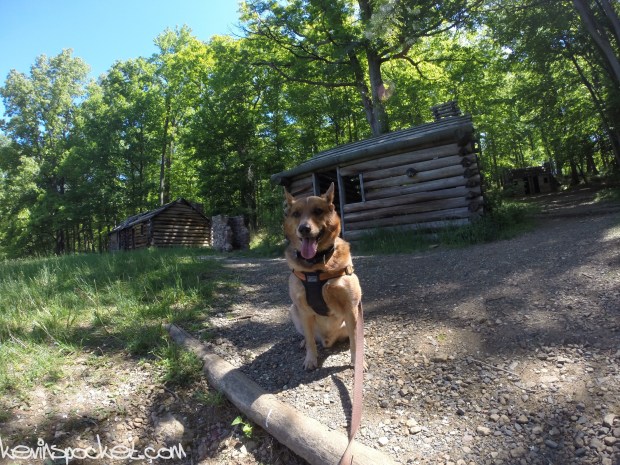 Jockey Hollow NJ Hike