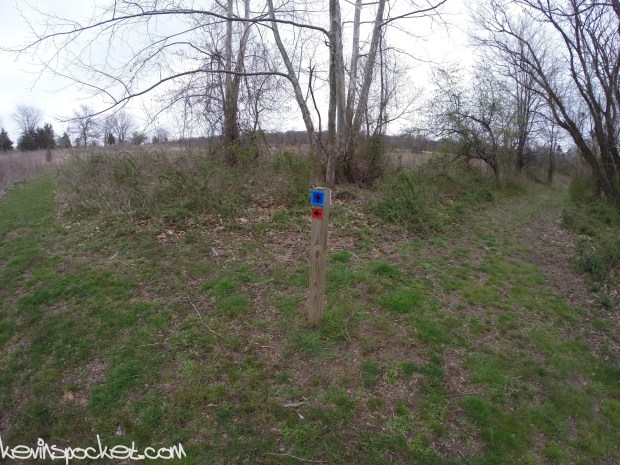 Fiddler's Creek Preserve