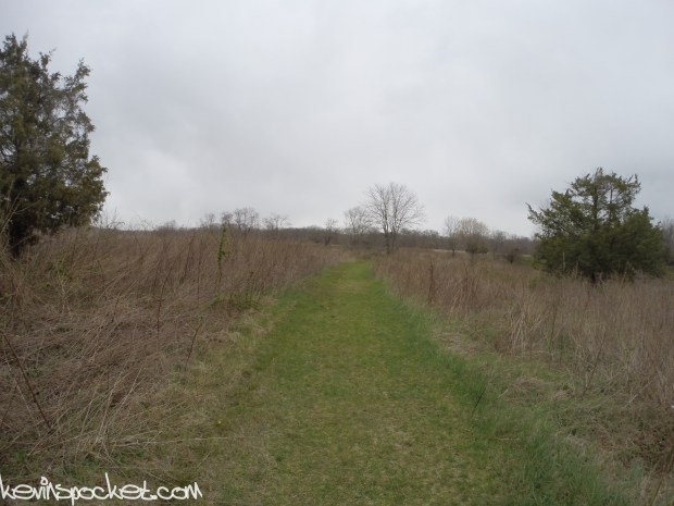 Fiddler's Creek Preserve