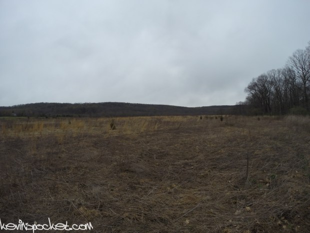 Fiddler's Creek Preserve