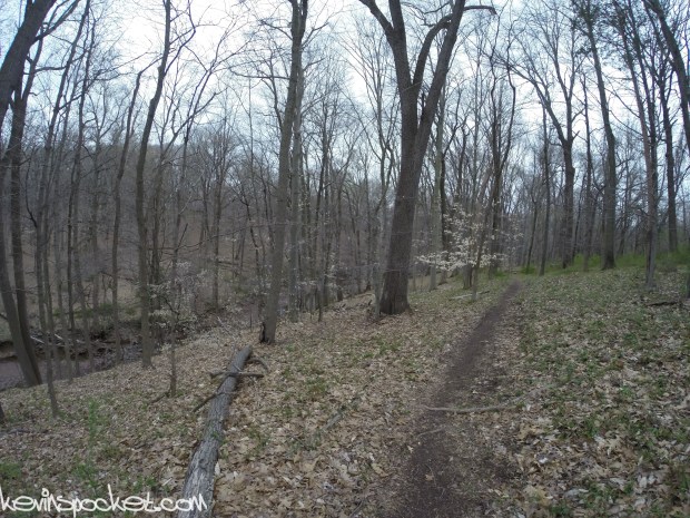 Fiddler's Creek Preserve