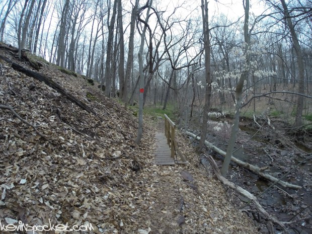Fiddler's Creek Preserve