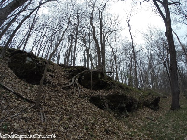 Fiddler's Creek Preserve
