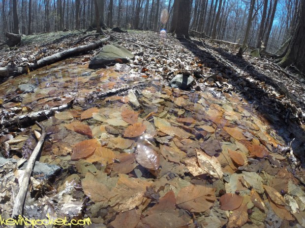 Sourland Ecosystem Preserve