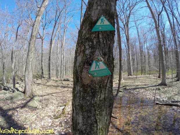 Sourland Ecosystem Preserve