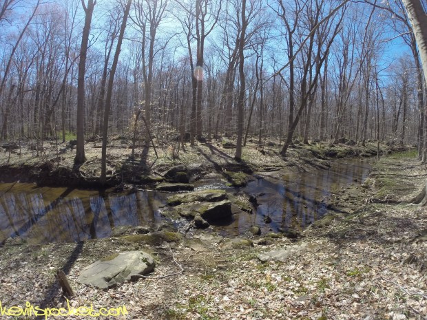 Sourland Ecosystem Preserve