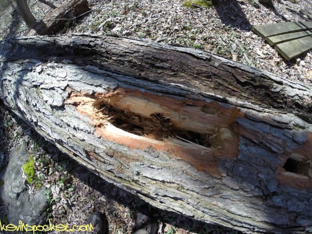 Sourland Ecosystem Preserve