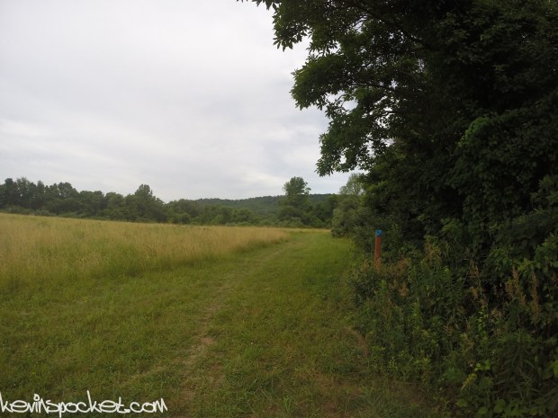 Cushetunk Mountain Preserve