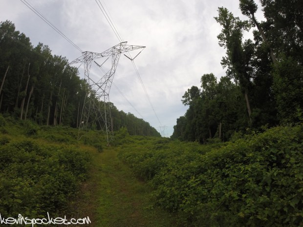 Cushetunk Mountain Preserve