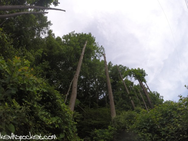 Cushetunk Mountain Preserve