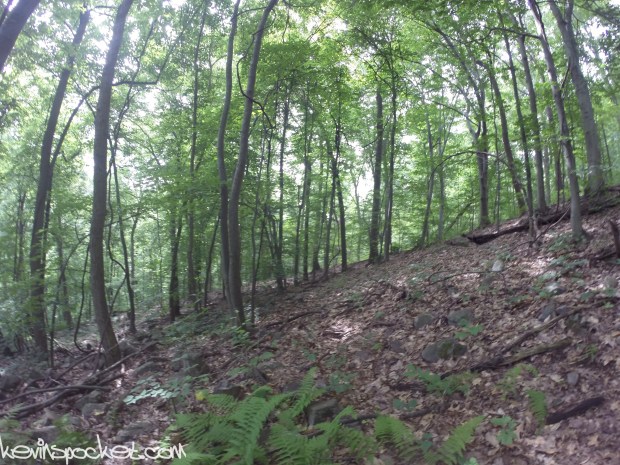 Cushetunk Mountain Preserve