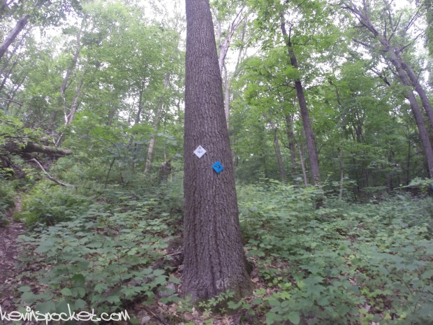 Cushetunk Mountain Preserve