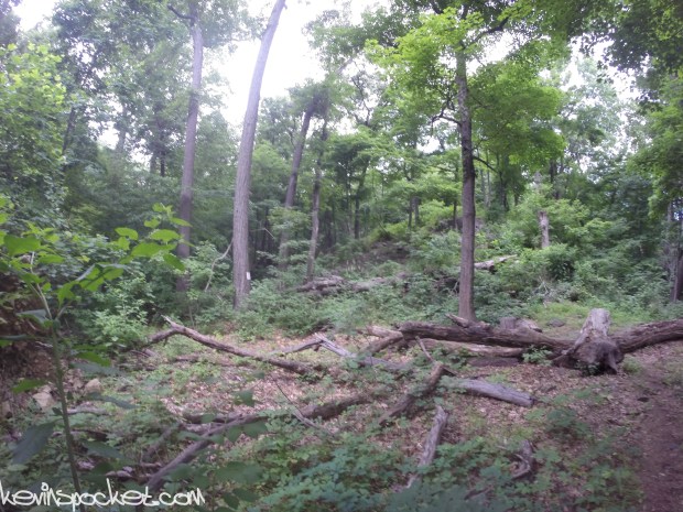 Cushetunk Mountain Preserve