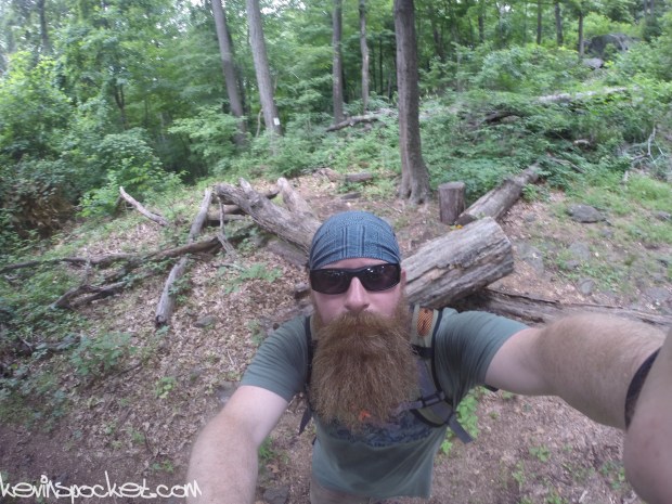 Cushetunk Mountain Preserve