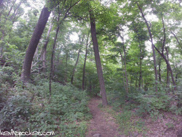 Cushetunk Mountain Preserve