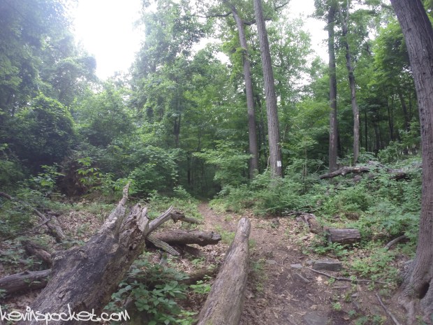 Cushetunk Mountain Preserve