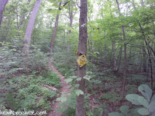 Cushetunk Mountain Preserve