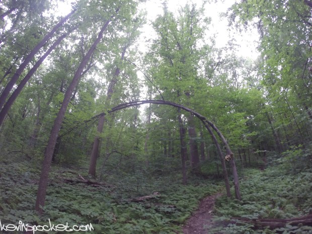 Cushetunk Mountain Preserve