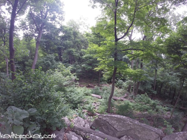 Cushetunk Mountain Preserve