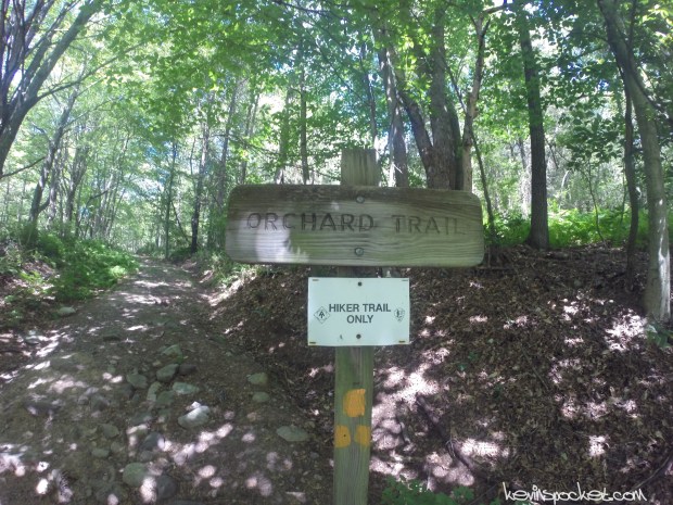 Delaware Water Gap - Millbrook