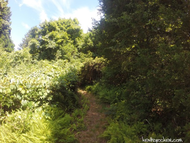 Delaware Water Gap - Millbrook