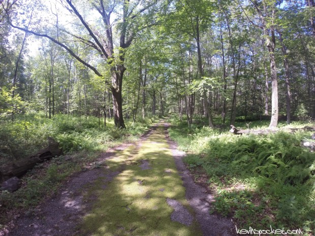 Delaware Water Gap - Millbrook