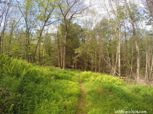 Delaware Water Gap - Millbrook