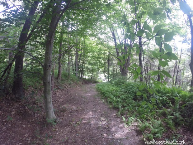 Delaware Water Gap - Millbrook