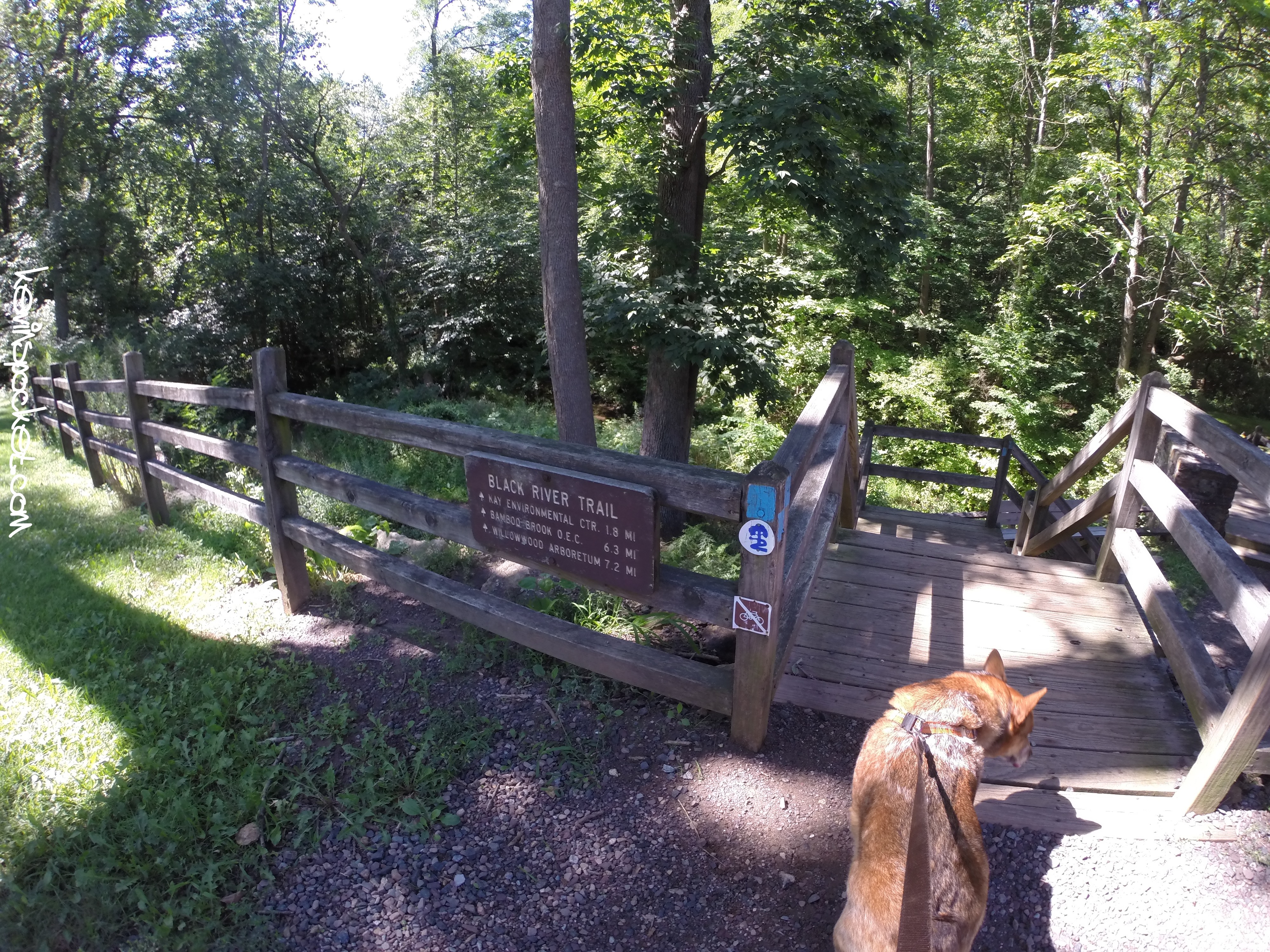 Hike 29: Black River Park – Cooper Mill – kevinspocket