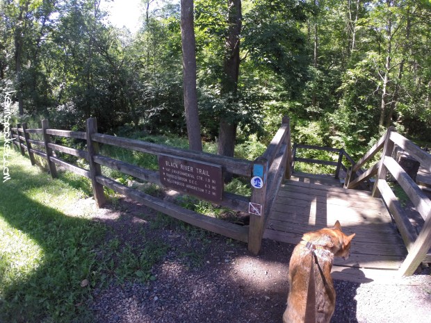 Black River Park - Cooper Mil