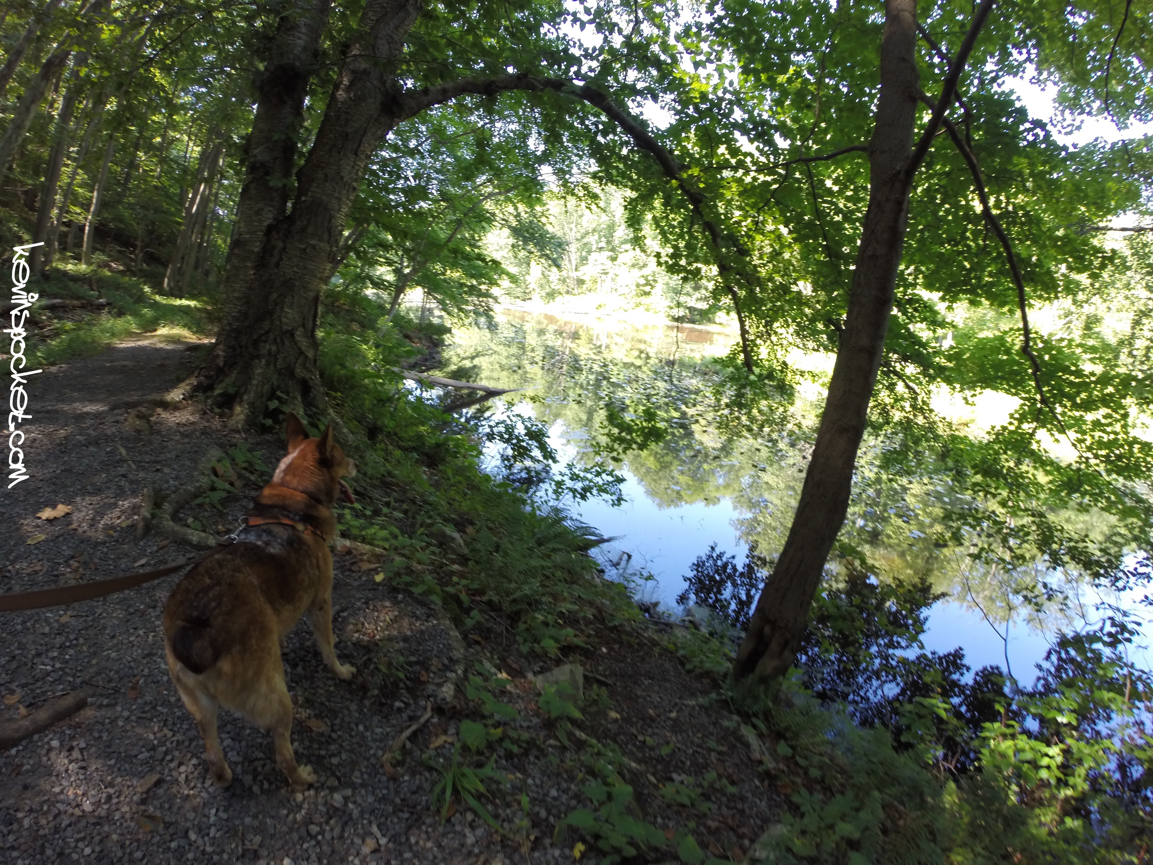 Hike 29: Black River Park – Cooper Mill – kevinspocket