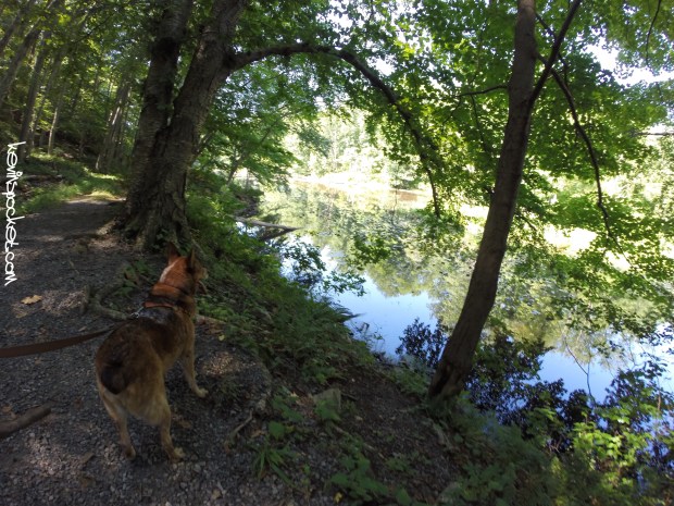 Black River Park - Cooper Mil