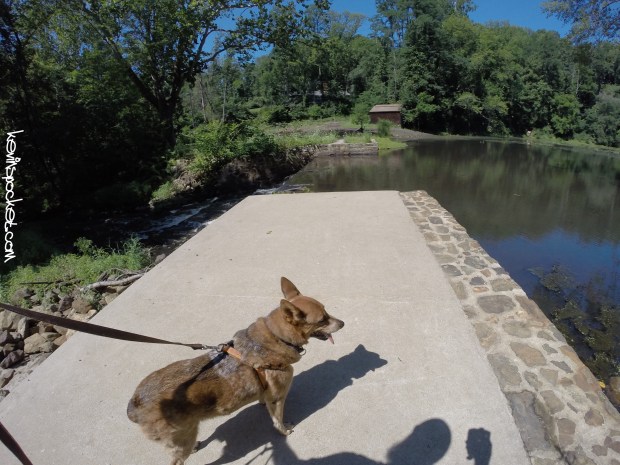 Black River Park - Cooper Mil