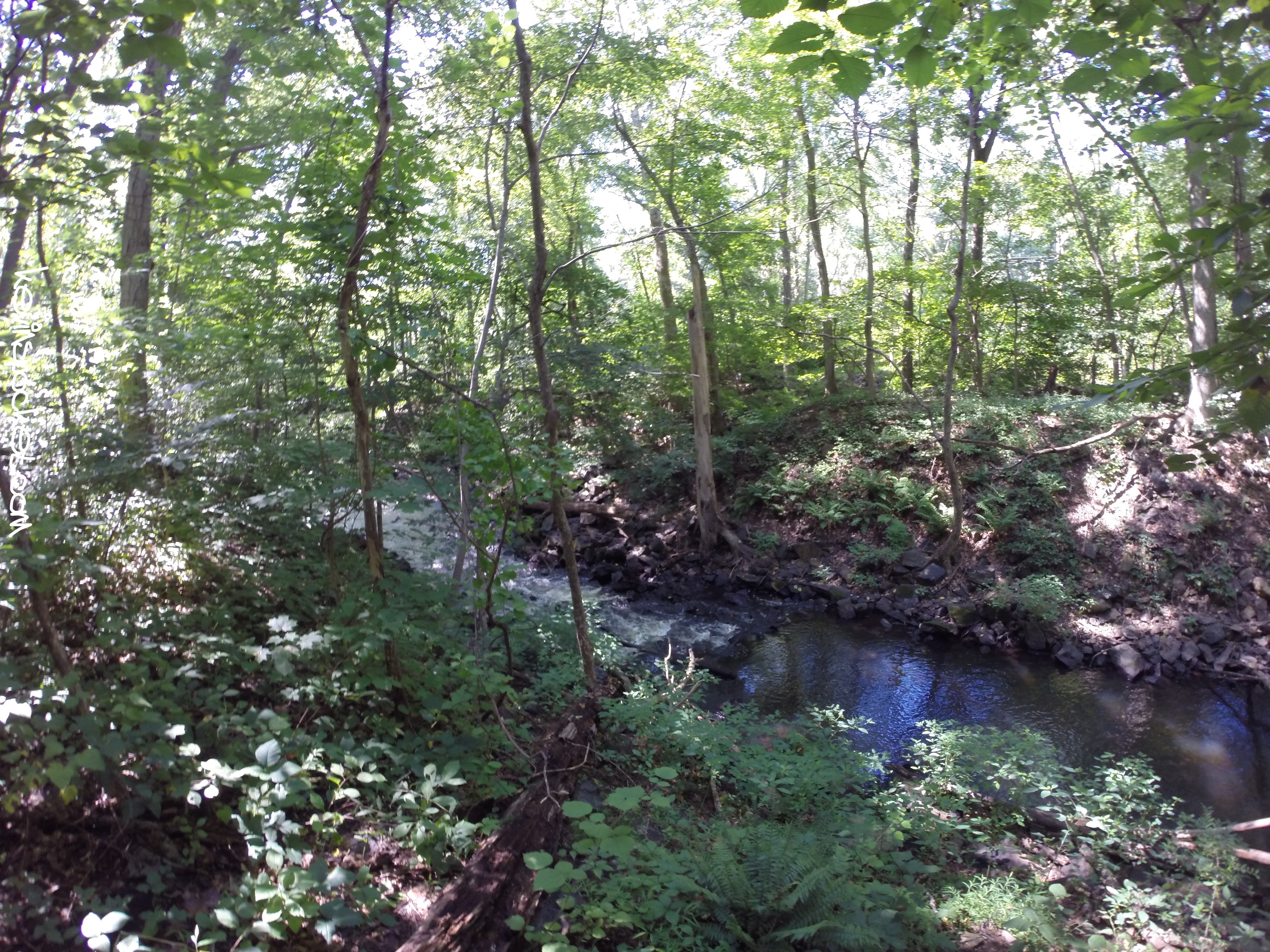 Hike 29: Black River Park – Cooper Mill – kevinspocket