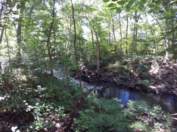 Black River Park - Cooper Mil