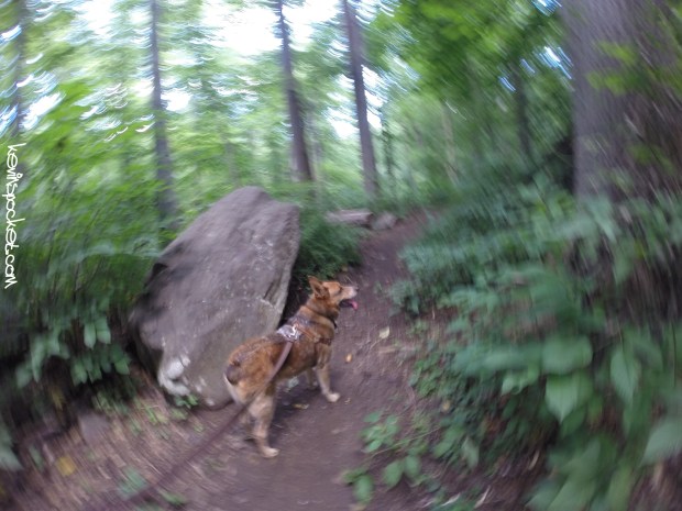 Black River Park - Cooper Mil