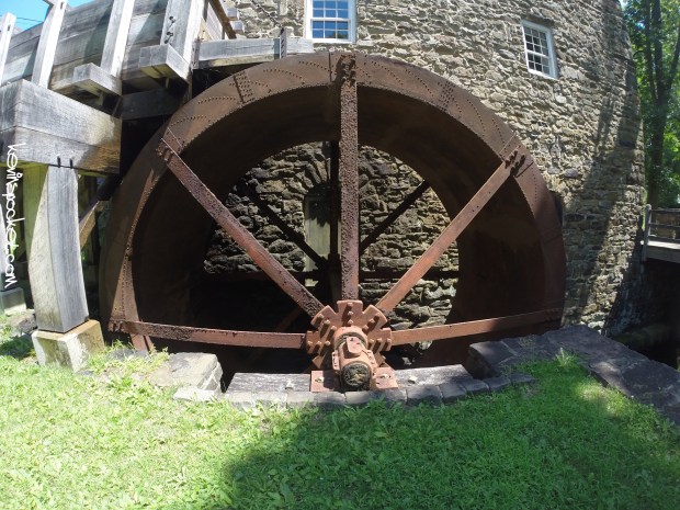 Black River Park - Cooper Mil