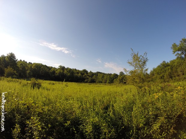 Cedar Ridge Preserve