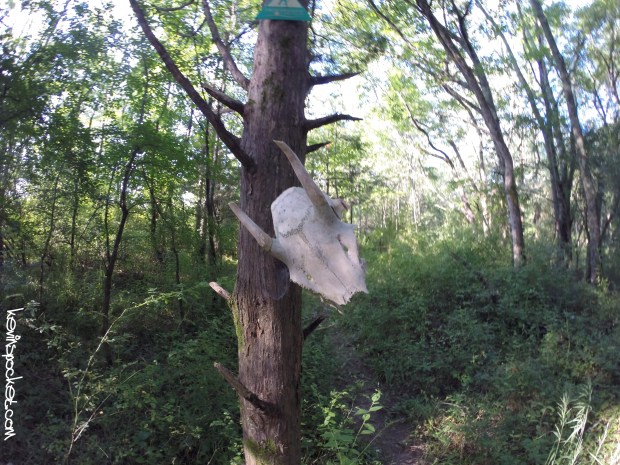 Cedar Ridge Preserve