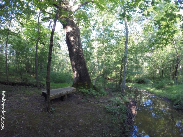 Cedar Ridge Preserve