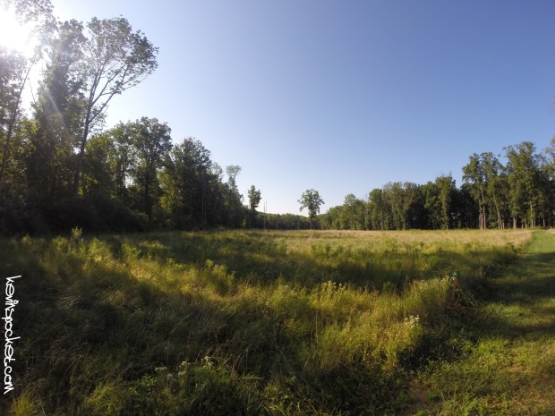 Cedar Ridge Preserve
