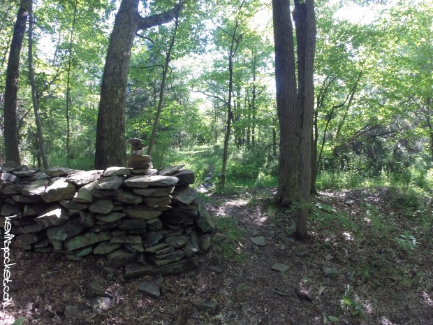 Cedar Ridge Preserve