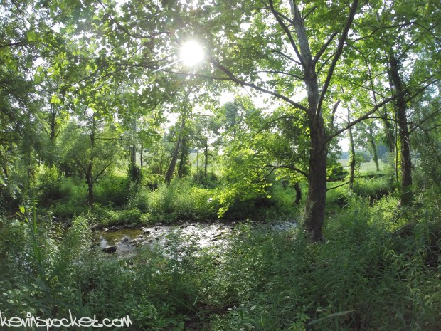 Jacob's Creek Trail - Hopewell, NJ