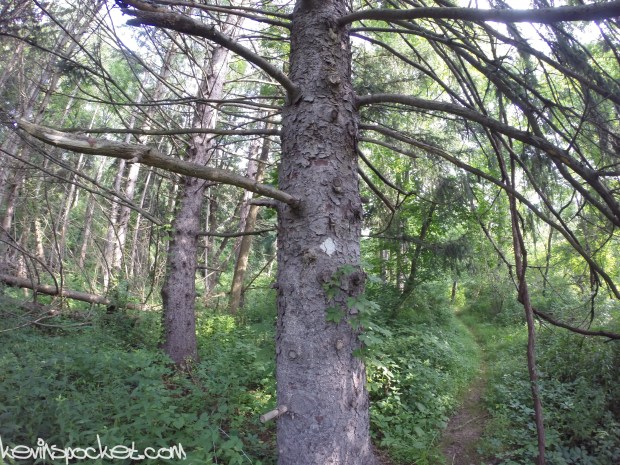 Jacob's Creek Trail - Hopewell, NJ