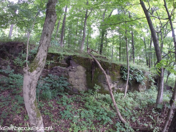 Jacob's Creek Trail - Hopewell, NJ