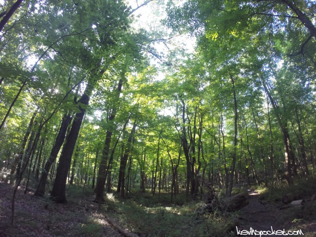 Sourland Mountain Preserve - Roaring Rocks