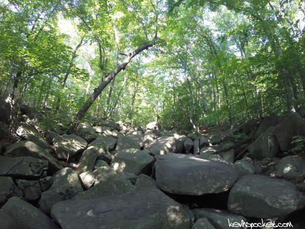 Sourland Mountain Preserve - Roaring Rocks